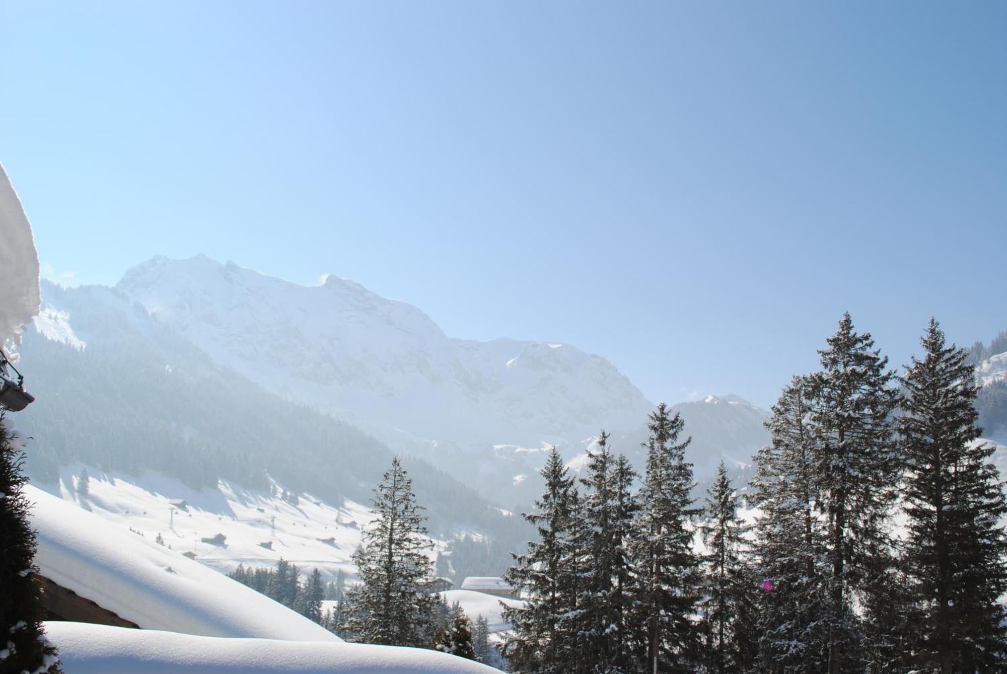 Apartment Nadeschda Adelboden Exterior foto